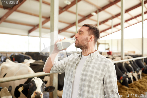 Image of man or farmer drinking cows milk on dairy farm