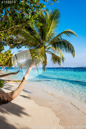 Image of Maldives beach