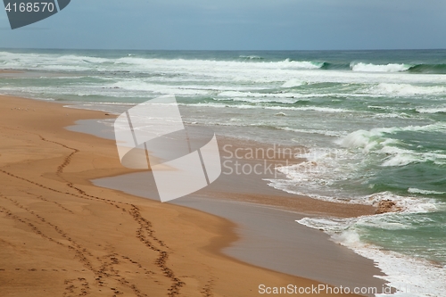 Image of Ocean Beach Waves