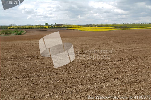 Image of Agircutural field with brown soil