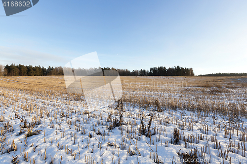 Image of field covered with snow