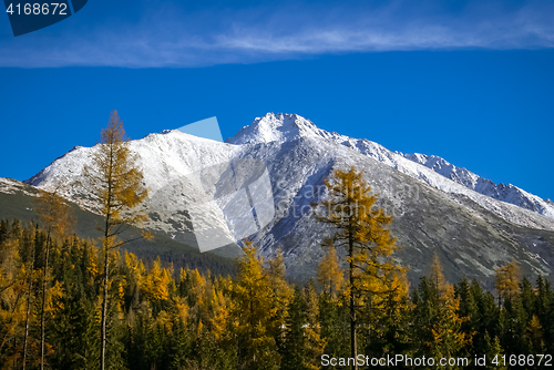 Image of Nature in Strbske pleso