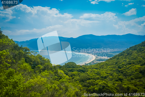 Image of Jungle in Brasil