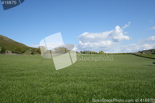 Image of Spring landscape