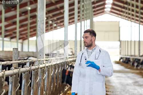 Image of veterinarian with syringe vaccinating cows on farm