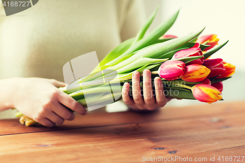 Image of close up of woman holding tulip flowers