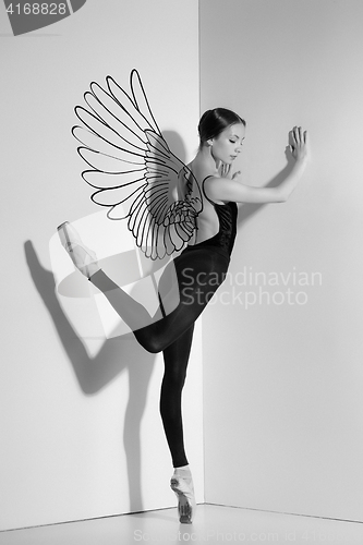 Image of Ballerina in black outfit posing on pointe shoes, studio background.