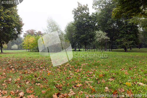 Image of autumn landscape, park