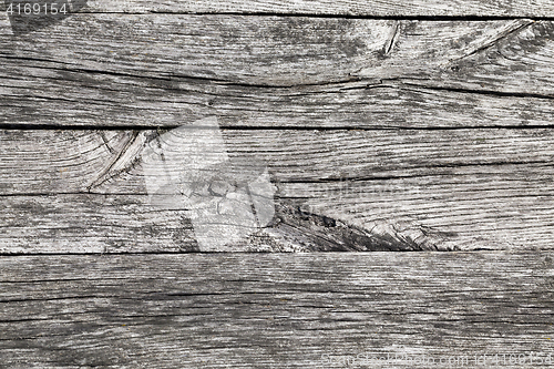 Image of split the old tree