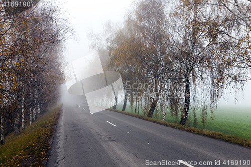 Image of asphalted road, autumn