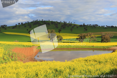 Image of Scenic farmlands landscape