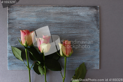 Image of Three rose