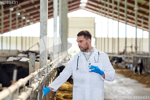 Image of veterinarian with syringe vaccinating cows on farm