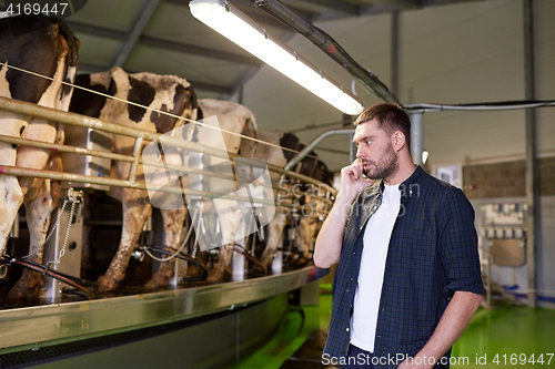 Image of man calling on cellphone and cows at dairy farm