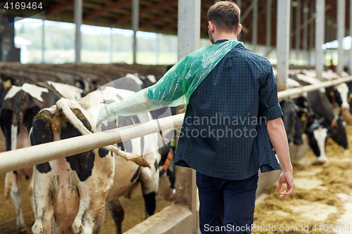 Image of farmer in veterinary glove with cows on dairy farm