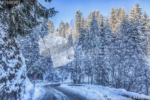 Image of Winter Road