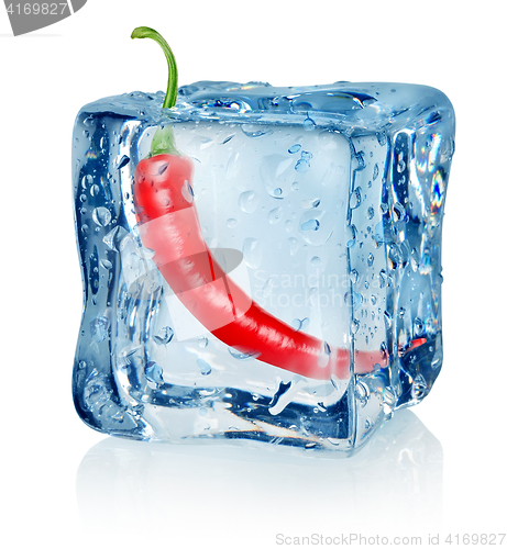 Image of Chili pepper in ice cube