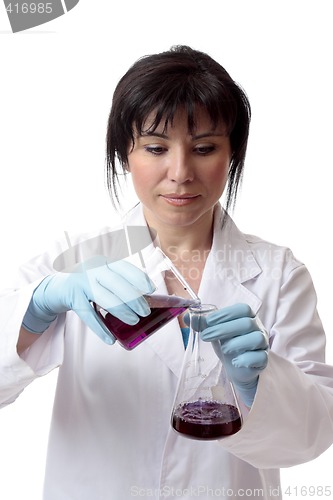 Image of Scientific experiment