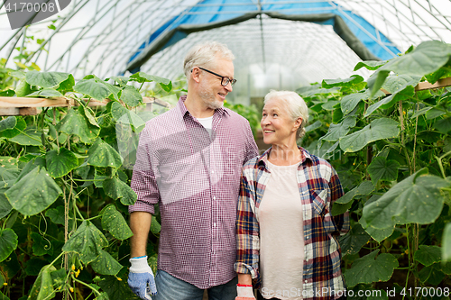 Image of happy senior couple at farm greenhouse