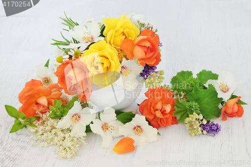 Image of Flowers for Natural Herbal Medicine