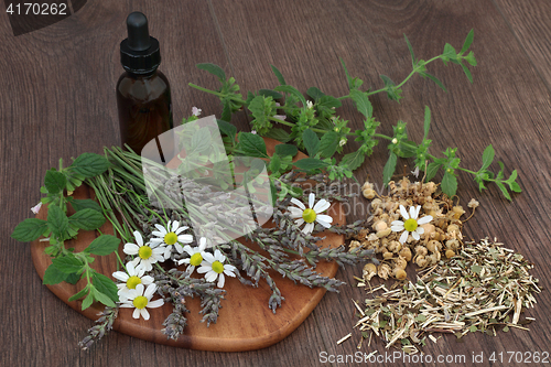 Image of Calming Herb Selection