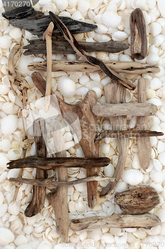 Image of Driftwood and Seashell Abstract 