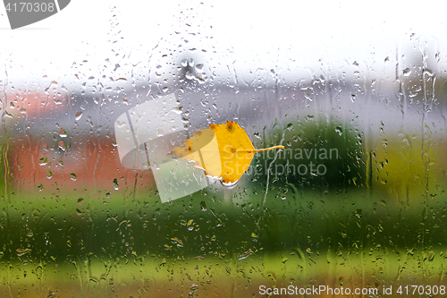 Image of Autumn weather with a yellow birch leaf