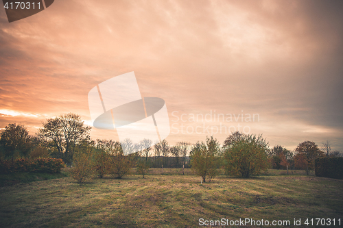 Image of Rural landscape with trees on a lawn