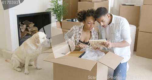Image of Golden retriever watching his owners pack
