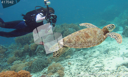 Image of diver Turtle