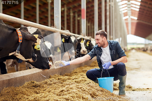 Image of man feeding cows with hay in cowshed on dairy farm