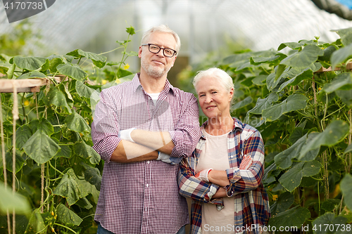 Image of happy senior couple at farm greenhouse