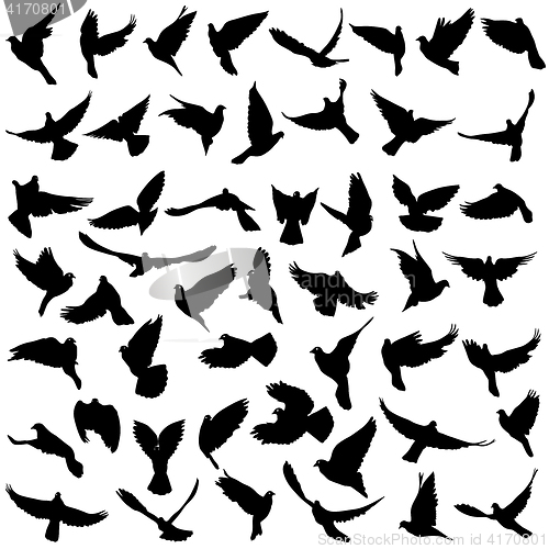 Image of Concept of love or peace. Set silhouettes doves. illustration