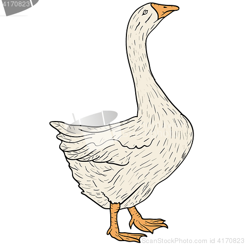 Image of Sketch grey goose on a white background. illustration.