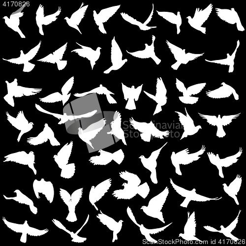 Image of Concept of love or peace. Set silhouettes doves. illustration