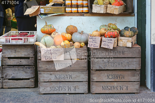 Image of Squash and Pumpkins