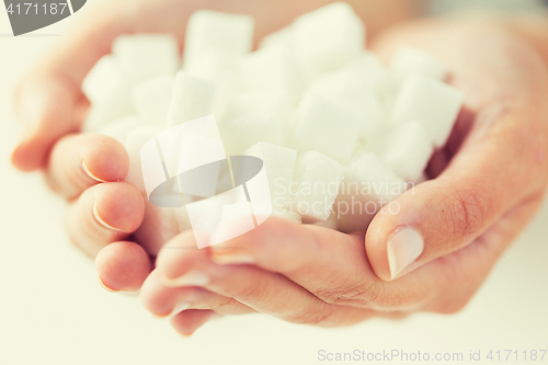 Image of close up of white lump sugar in woman hands