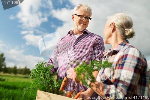 Image of senior couple with box of carrots on farm