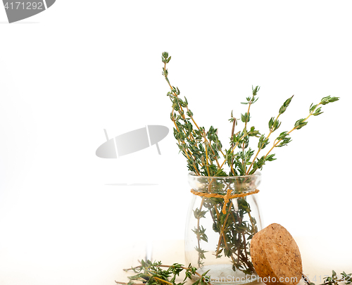 Image of fresh thyme on a glass jar