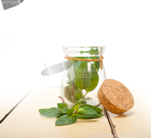 Image of fresh mint leaves on a glass jar