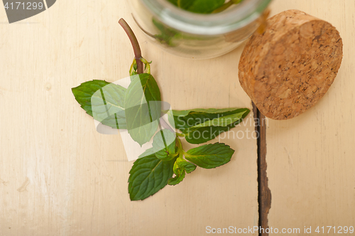 Image of fresh mint leaves on a glass jar