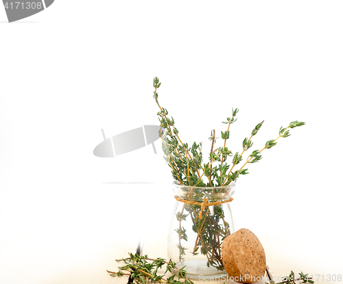 Image of fresh thyme on a glass jar