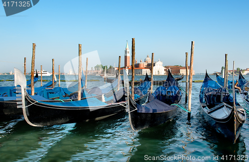 Image of Gondolas in Grand Canal