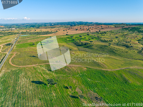 Image of Aerial View Green Fields with Trees