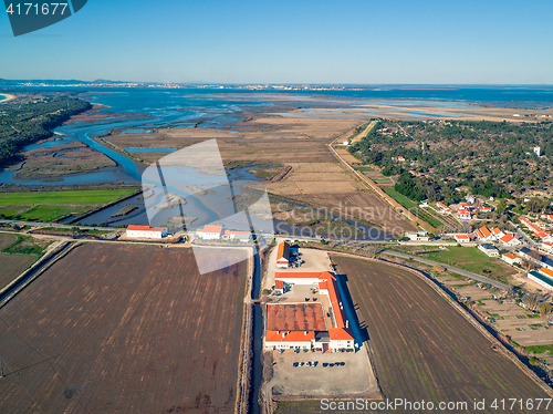 Image of Aerial View Rice Fields