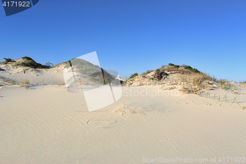 Image of Sand dunes