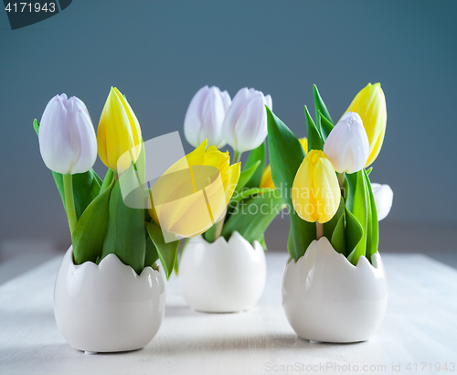 Image of Easter tulips in fresh colors