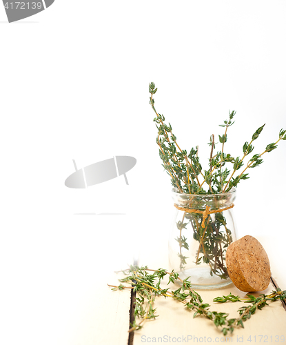 Image of fresh thyme on a glass jar