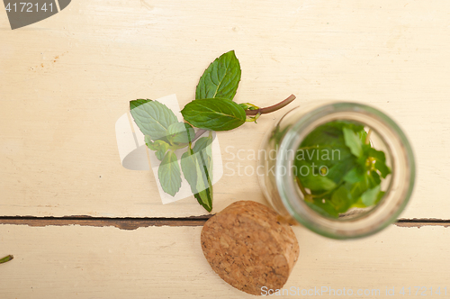 Image of fresh mint leaves on a glass jar