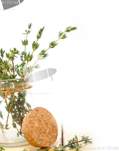 Image of fresh thyme on a glass jar